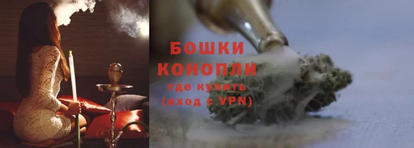 винт Пионерский