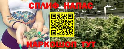 гашик Заводоуковск