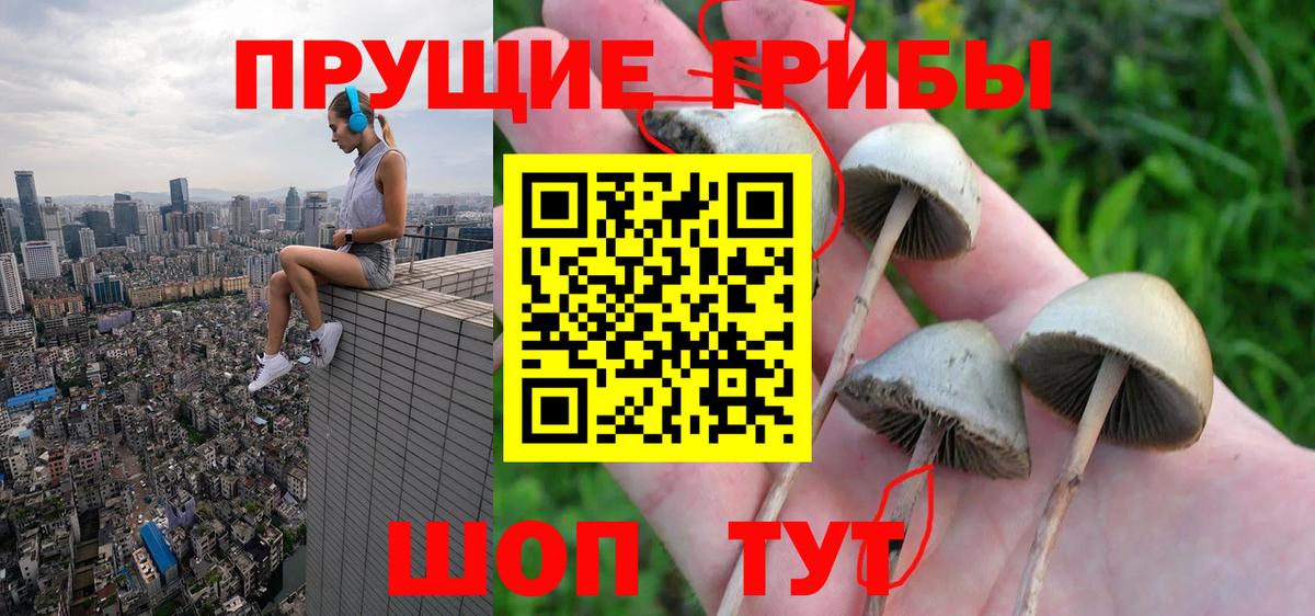 Галлюциногенные грибы GOLDEN TEACHER  Вход с VPN  Троицк 